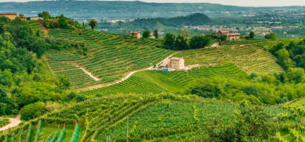 Italy’s Prosecco hills are now a Unesco World Heritage site